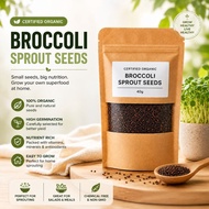 Organic Broccoli Sprout Seeds (40g)