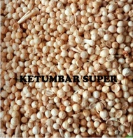 KETUMBAR BULAT SUPER KETUMBAR ASLI KETUMBAR BERSIH