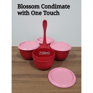 Tupperware Blossom Condimate w/One Touch Seal 250ml each (1)25.4cm(L) x 25.4cm(W) x 7.2cm(H)Retail S$27.80 .eco bottle