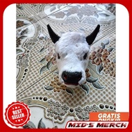  Full Feather Mberot Bull III-999