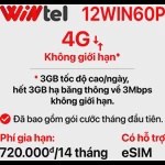 SIM Wintel 12WIN60P (Không giới hạn dung lượng)