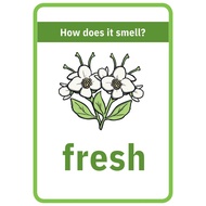 How does it smell? A4 Scent A4 Posters - Baby Materials - Jolie Store - A4 Poster