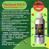 019 5% 👍杀虫药👍Racun Serangga 019 Thailand 5%🔥🔥🔥💥💥💥