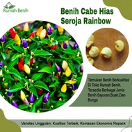 Benih Cabe Hias Seroja Rainbow / Bibit Benih Cabe Pelangi / Biji Benih Cabe Seroja IPB / Benih Cabe 