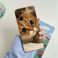 HP OPPO A5X 4G 2025 Softcase - Geloracase - Latest OPPO A5X 4G Casing - Cats Case Motif - OPPO A5X 4