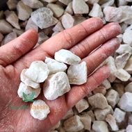 (1kg-40kg) White Chipping Stone Batu Hiasan Putih River Pebble Stone Gardening Landscape Decoration