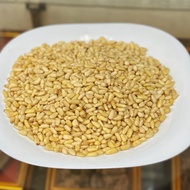 Brazilian Pine Nut Kernel No Preservatives Brazil Nuts