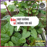 (Wholesale) Red Malabar Malabar Malabar Seeds (purple Malabar spinach) - Ta Gia Trang seed Shop