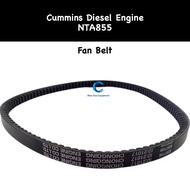 Fan Belt NTA855 Cummins Diesel Engine -4297186