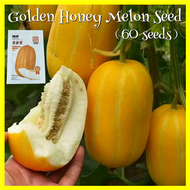 60 Seeds Fresh Golden Honey Melon Seeds Fruit Seeds for Planting Fruit Plants Honey Gold Melon Fruit