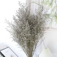 Dried Flowers Preserved Lovers Grass Caspia Flower Bunga Kering dekorasi