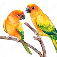 Perroquet Parrot Food Designer Complete Diet Custom Order Mix Small Medium Large Parrot Parakeet Mak