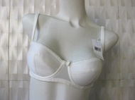 TRIUMPH BRA BH (VICTORIA SECRET PIERRE CARDIN WACOAL PIERRE CARDIN HNM