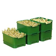 Stackable Plastic Home Bean Sprout Tray, Sprout Growing Box Without Watering