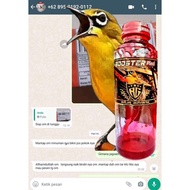 Booster pleci Vitamins Of Bird Temptations Of The doping Of The Paraju Championship placi