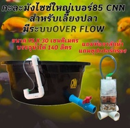 อ่างเลี้ยงปลาขนาดใหญ่แถมท่อกาลักน้ำแถมซุปเปอร์กรอง ระบบOver Flow 75x30 ซ. บรรจุน้ำได้140ลิตร ท่อขาวม