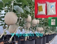 ปุ๋ยแห้ง A B เมล่อน สูตร 1 ชุด 50 ลิตร