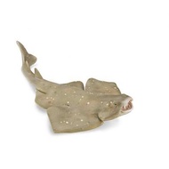 Angel Fish Figurine - Collecta