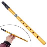 ROTUR Irish Whistle Flute, Professional 6 Hole Ireland Flute, Musical Accessories Alloy Gift Musical
