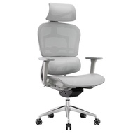 【TikTok】#SpectrumE20 Double Back Ergonomic Chair Computer Chair Office Chair Executive Chair Reclining Comfortable Lunch