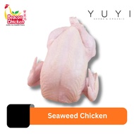 【Beacon】Seaweed Chicken