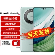 华为（HUAWEI）旗舰手机 Mate 60 Pro 12GB+512GB 雅川青