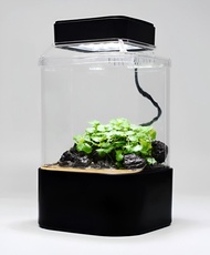 【新缸】苔蘚／鼠婦飼養生態缸  黑白兩色  具USB通風扇＆Led自然光