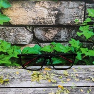 OneDrive 8018 Men's Anti-uv Anti-Radiation Bluechromic Lens Sunglasses