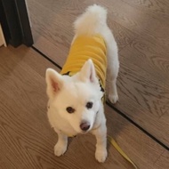 Photo album (write the name and the item name in notes)