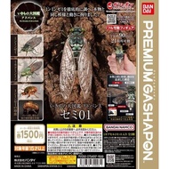 Bandai Genuine Gallery Biographical Picture Book Cicada 01 Spotted Cicada Cicada Ornament Toys Spot