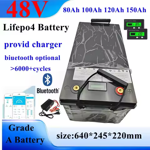 48V 80Ah 100Ah 120Ah 150Ah LiFepo4 Lithium Battery for 5KW Motorhome Solar Storage Boat Inverter Gol