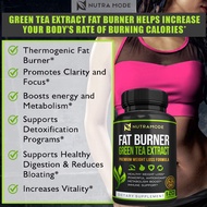 Supports Healthy Weight Loss, Green Tea Extract-fat Burner Promotes Detoxification and Metabolism Su