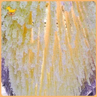[In Stock]  Wedding Flower Garland Decorative Flower Garland Artificial Wisteria Flower Garland – Fa