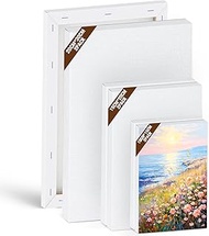 QUTHZZHY Canvas Set, 6 Pieces Canvas for Painting, Stretcher Frame, White Painting Canvas 30 x 20.20