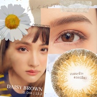 คอนแทคเลนส์ Daisy Brown (Neo Cosmo) รายเดือน เดซี่ สีน้ำตาล โตเล็กน้อย สวยธรรมชาติสไตล์ญี่ปุ่น รายเดือน