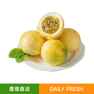 每日生鮮 - 香甜黃金百香果（8-10個裝)｜黃金果/熱情果・調飲沙拉百搭