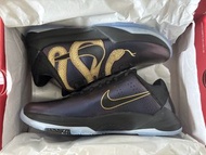 Nike Kobe V Protro Eggplant Black Metallic Gold