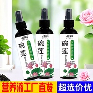 Bowl Lotus Lotus Dedicated Nutrient Solution Indoor Green Plant Flower Water Anti-Yellow Leaf Plant 