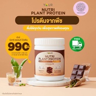 YOUR Nutri Plant Protein (ยัวร์ นิวทริ แพลนท์ โปรตีน)  เครื่องโปรตีนสูงจากพืช มีพรีไบโอติกส์ และ โพร