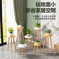 Flower Stand Succulent Vines