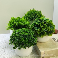 [1.2Ten Thousand People Praise]Artificial Flowers Artificial Bonsai Green Plants Bedroom Coffee Tabl