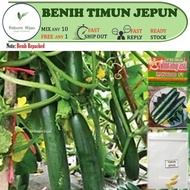 3 biji benih TIMUN JEPUN japan cucumber seeds rangup REPACKED sedap tak pahit