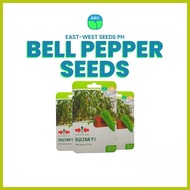 ∱ ➬ ☾ Bell pepper Seeds Sultan F1  100 seeds