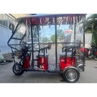 ebike trapal for large ebike