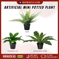 FEJKA Green Potted  Artificial Decoration Plants Indoor Plant Pokok Bunga Hiasan Rumah Flower Decor