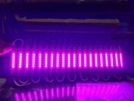 LED Module Hắt COB 6 Bóng Siêu Sáng Chống Nước (Vỉ 20 thanh) DC 12V - 24V