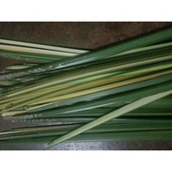 6 pucuk Daun Palas Segar/Daun Ketupat Palas/Fresh Palas Leaf / Ketupat Palas Leaf