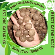 Bibit Porang Katak Isi 200/kg Harga Ecer Bijian Asli Dorman