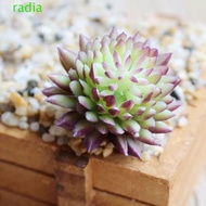 RADIANTZAP 2pcs Artificial Succulent Plants, DIY Mini Fake Succulent Flocking Plants, Micro Landscap