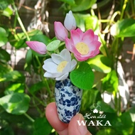 Lotus Pot Model 03 Mini 1/12 Scale